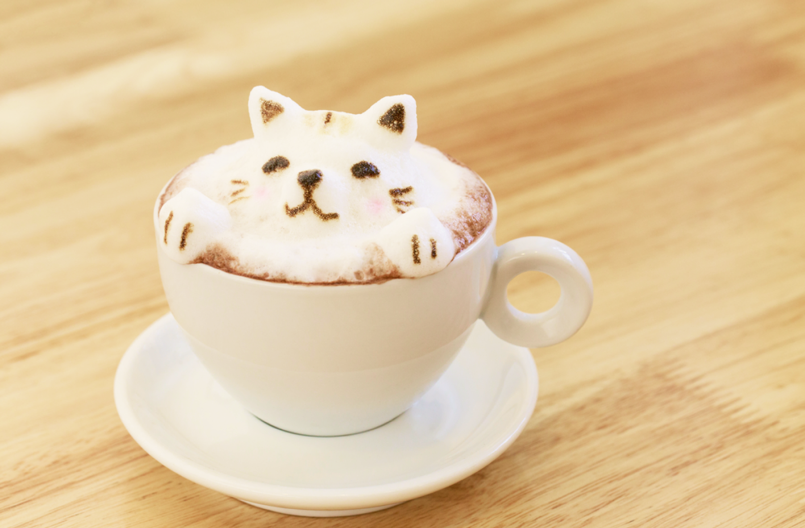 About Cats & Coffee